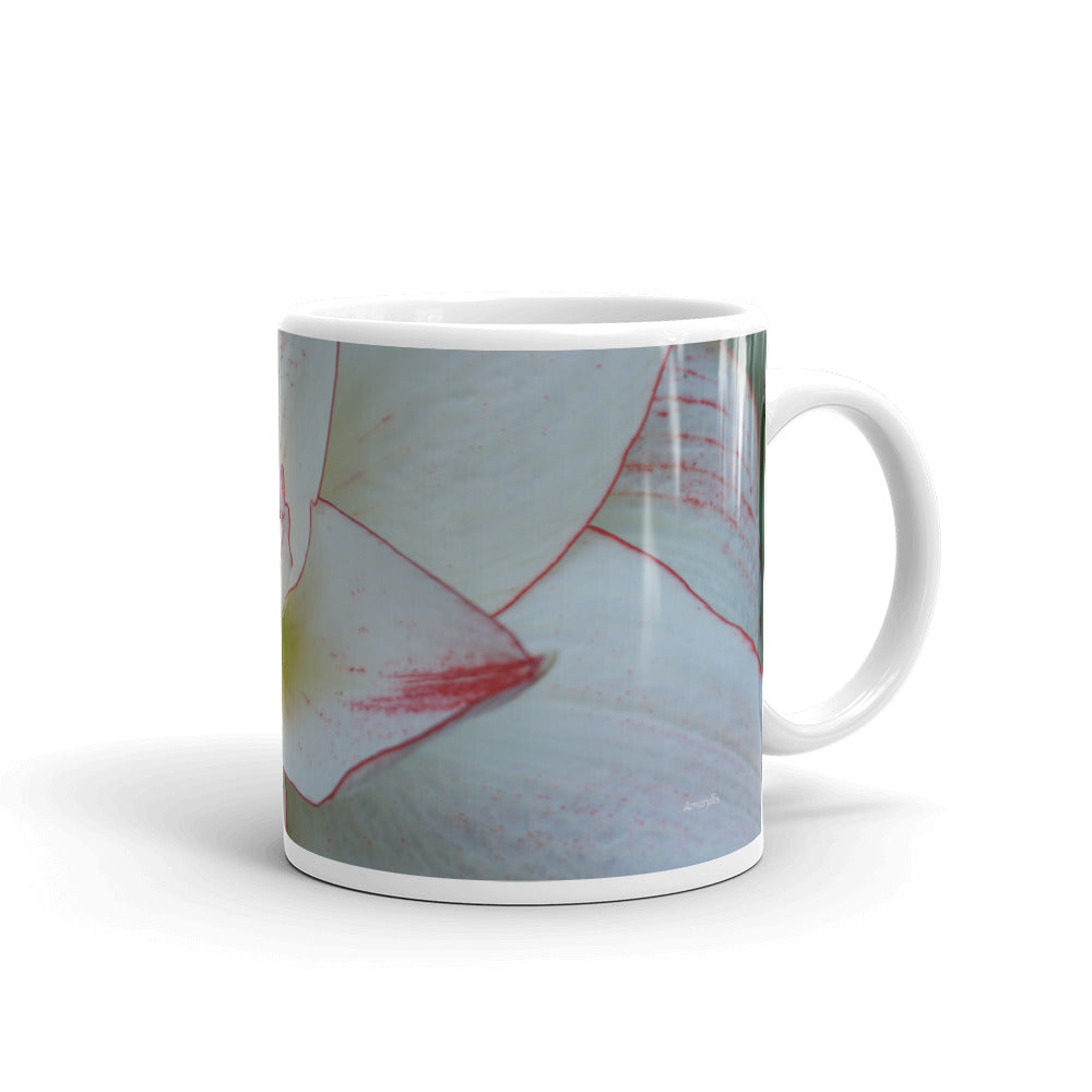 White Amaryllis close up without a message