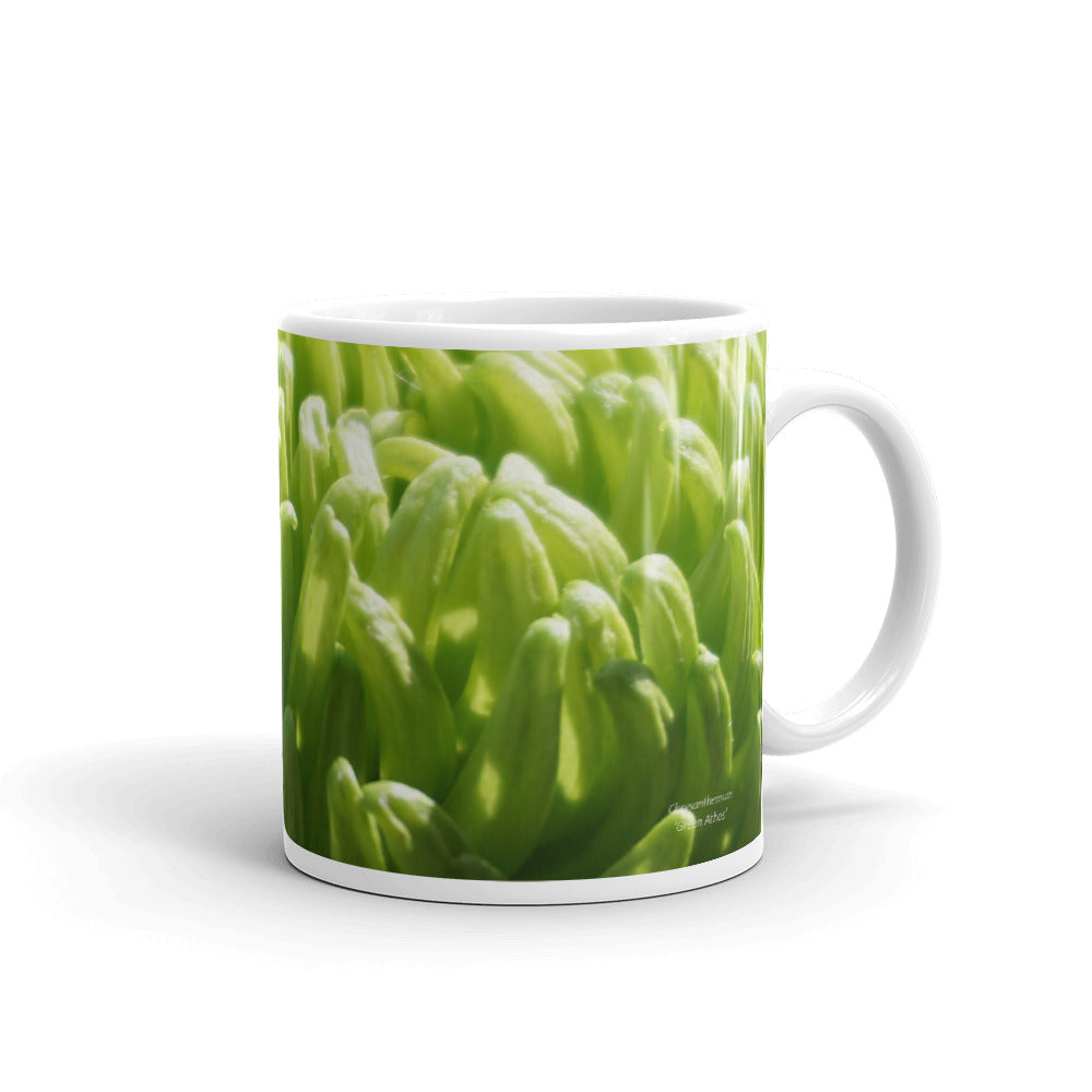 Green Chrysanthemum-without a message