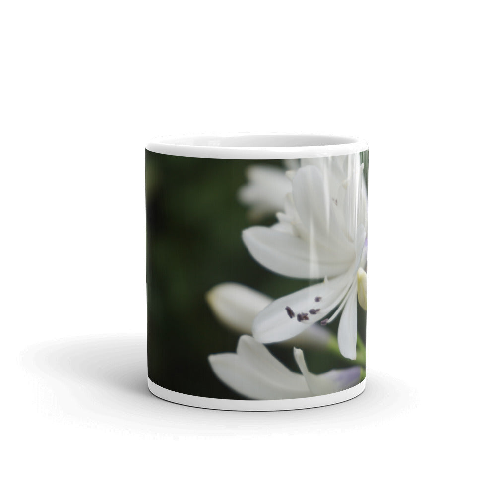 White Agapanthus- Indigo Frost without message