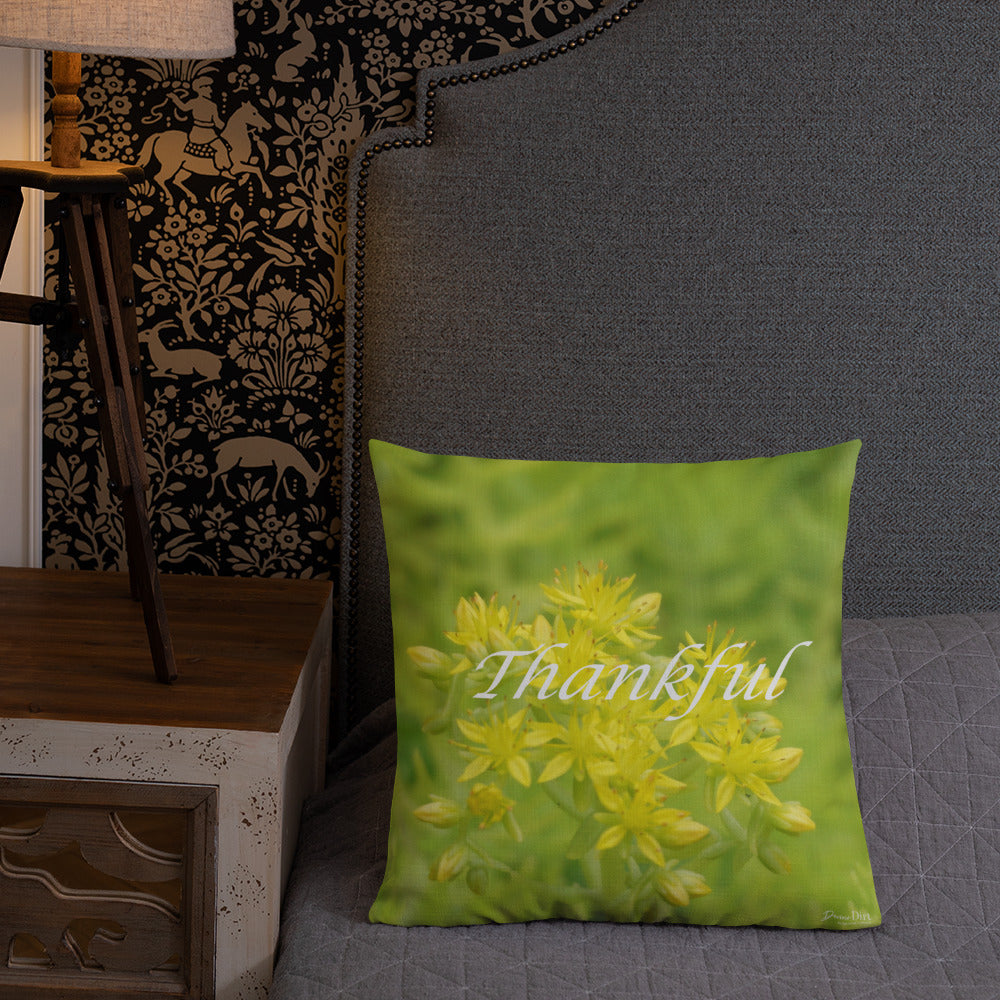 Lime Green Sedum with White Back Premium Pillow "Thankful"