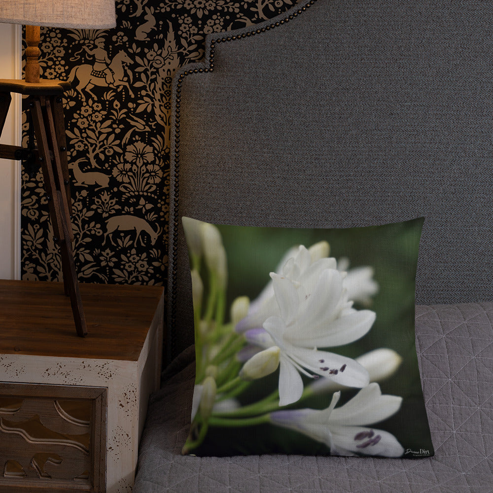 Agapanthus 'indigo Frost'  Premium Pillow with White Back