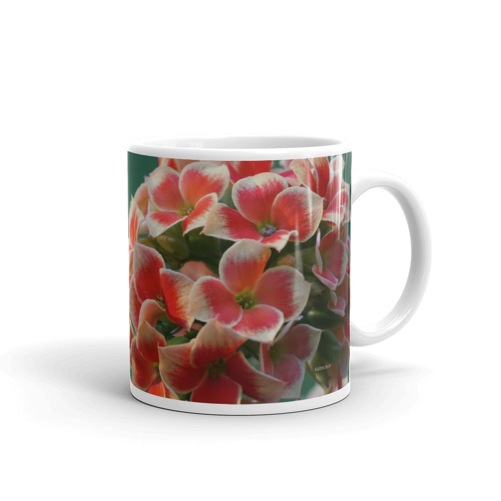 Orange Bi Color Kalanchoe Mug