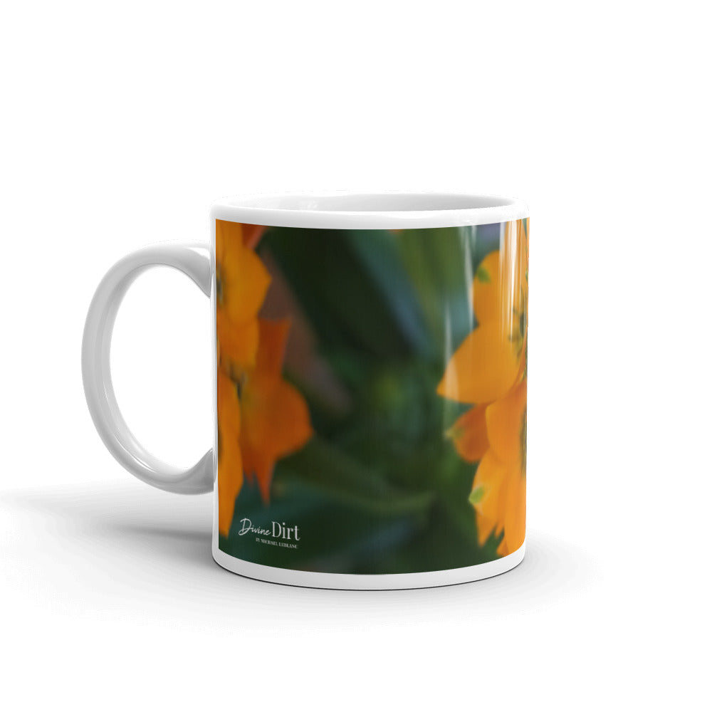 Orange Star without a message