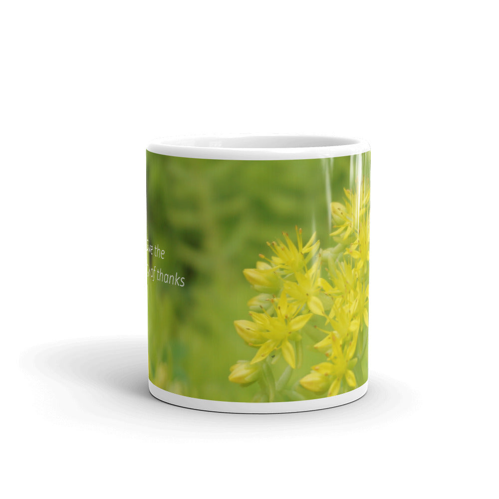 Lime Green Sedum "Give the energy of thanks"