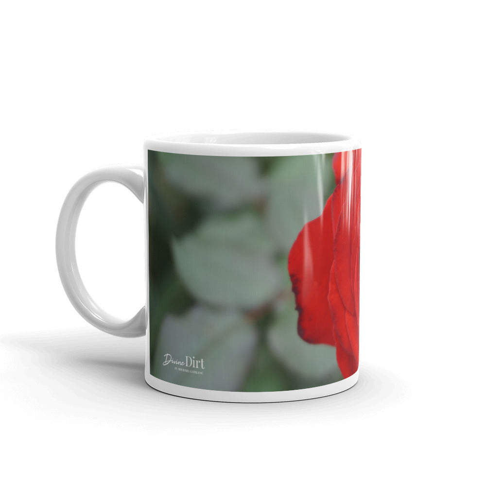 Red Rose without a message