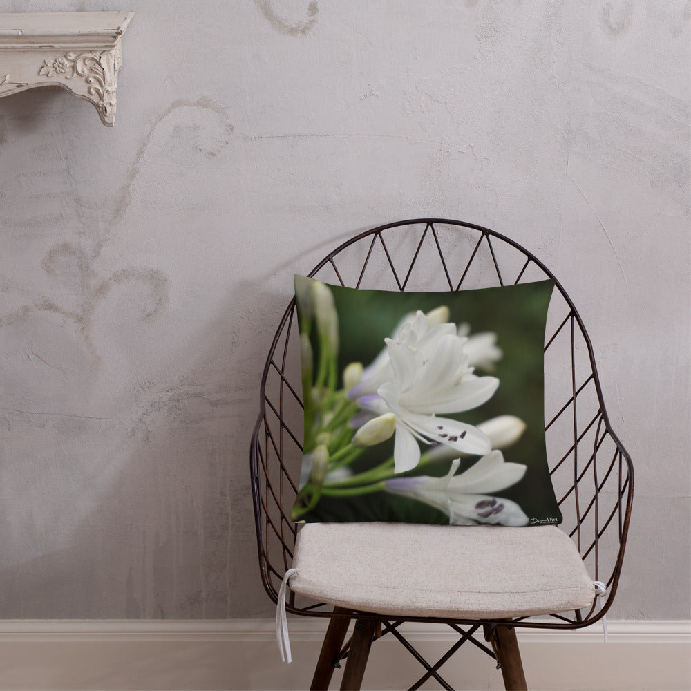 White Agapanthus 'Indigo Frost'  Premium Pillow with White Back
