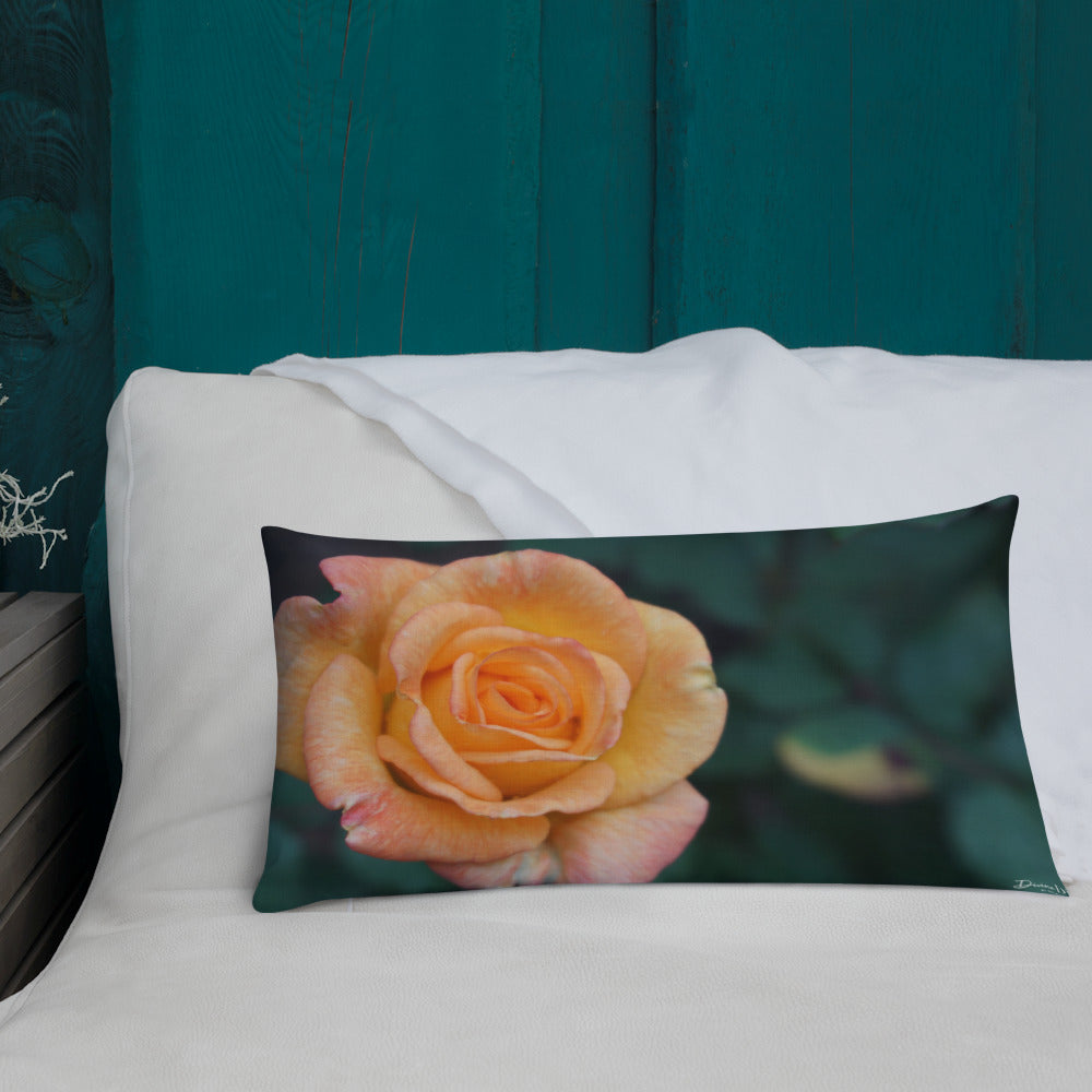 Orange Delight Rose Premium Pillow