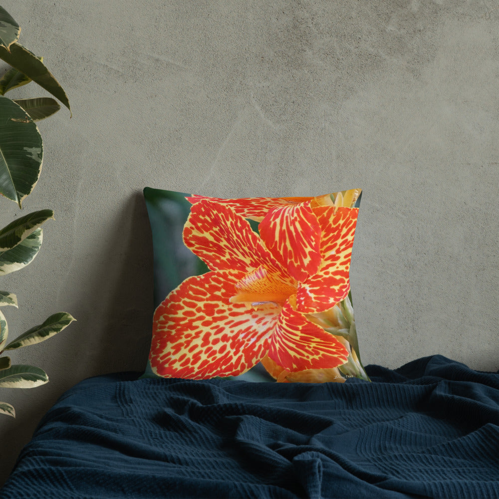 Orange Dwarf Canna 'Picasso' Premium Pillow with White Back