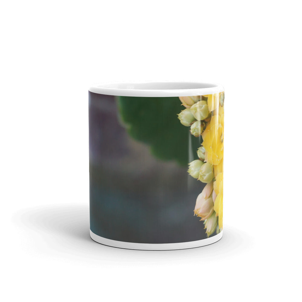 Yellow Kalanchoe without message