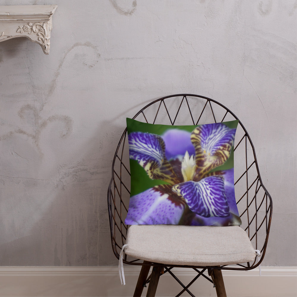 Purple Brazilian Iris Premium Pillow with White Back