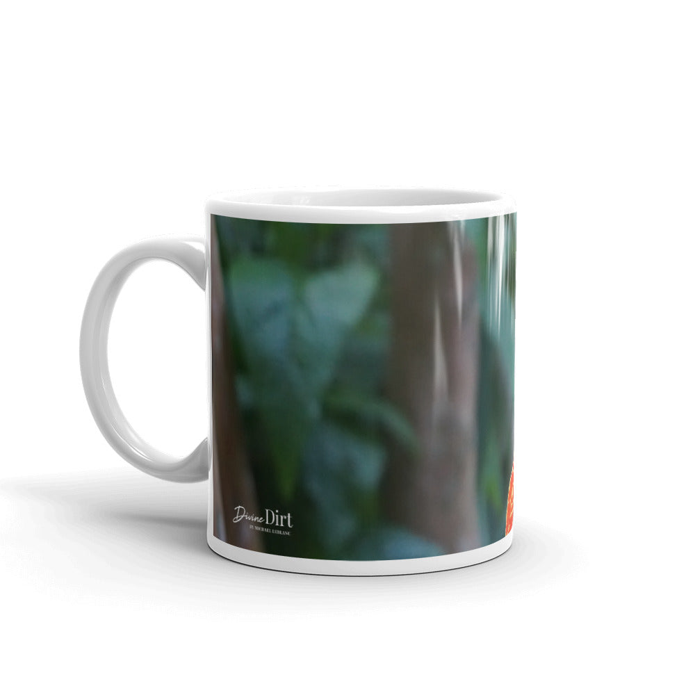 Orange  Dwarf Canna-Picasso without a message