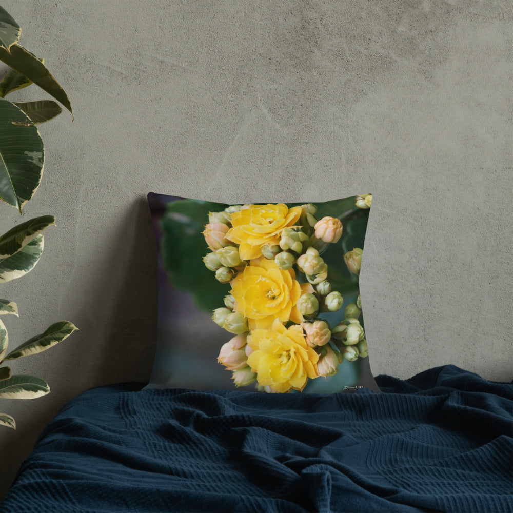 Yellow Kalanchoe Premium Pillow with Light Grey Back