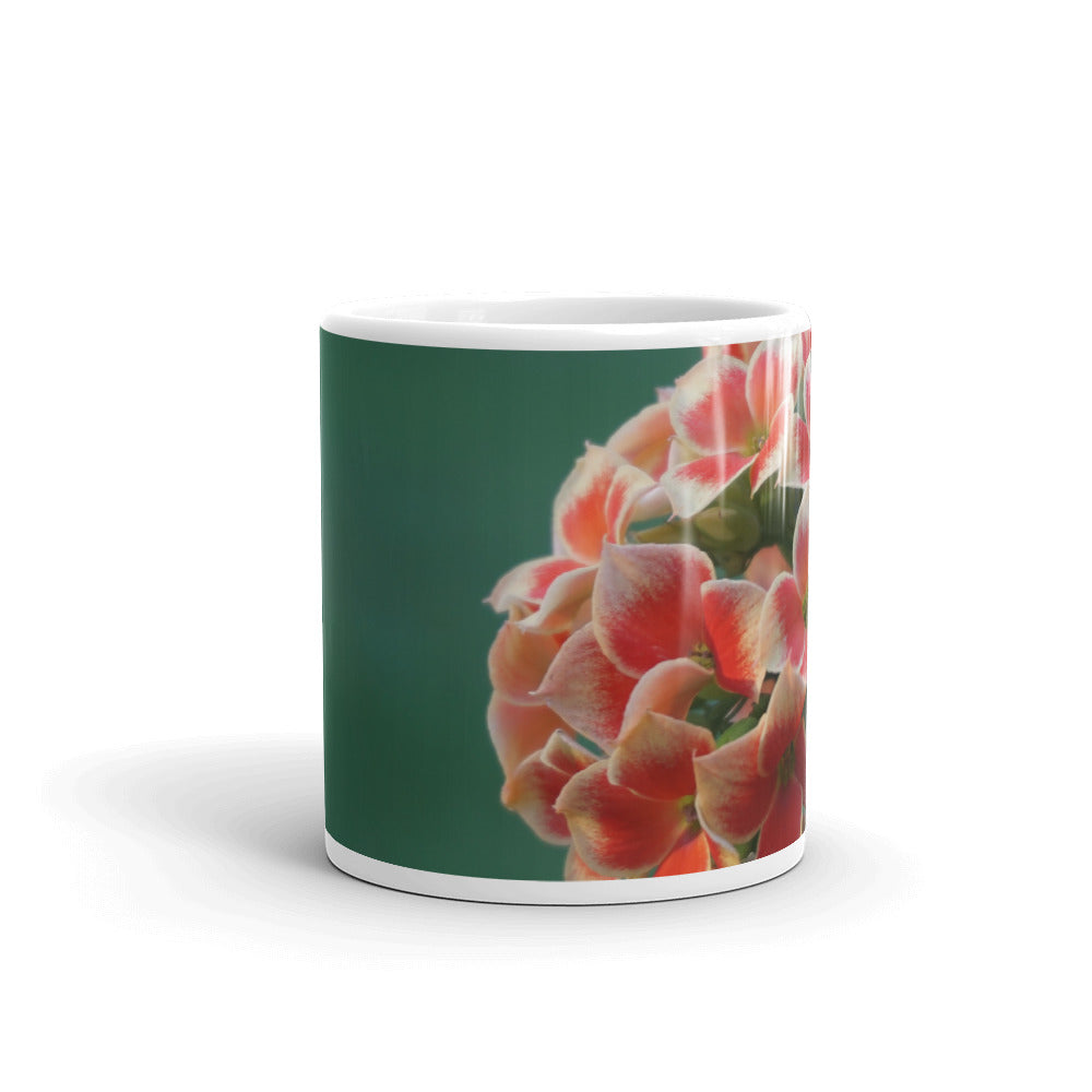 Orange Kalanchoe without message