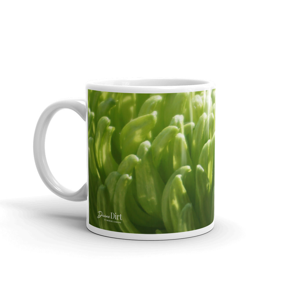 Green Chrysanthemum-without a message