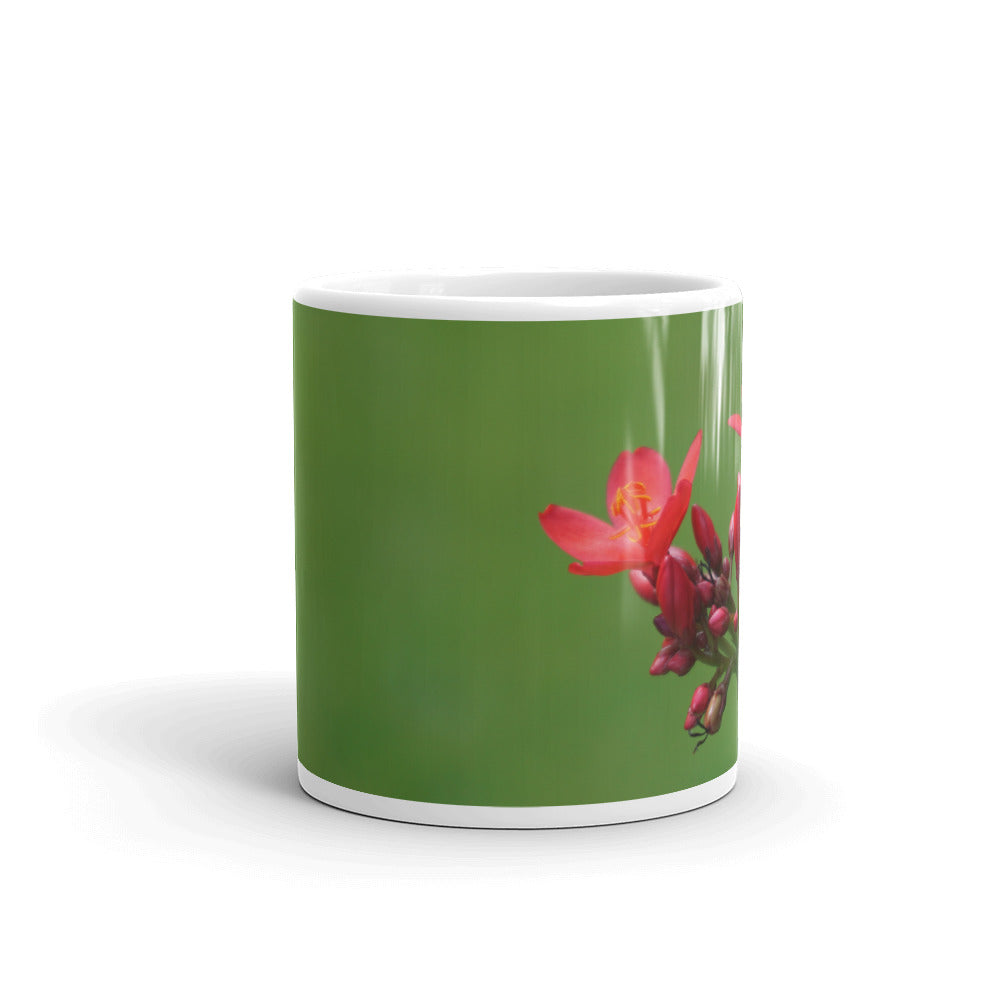 Red Jatropha without a message