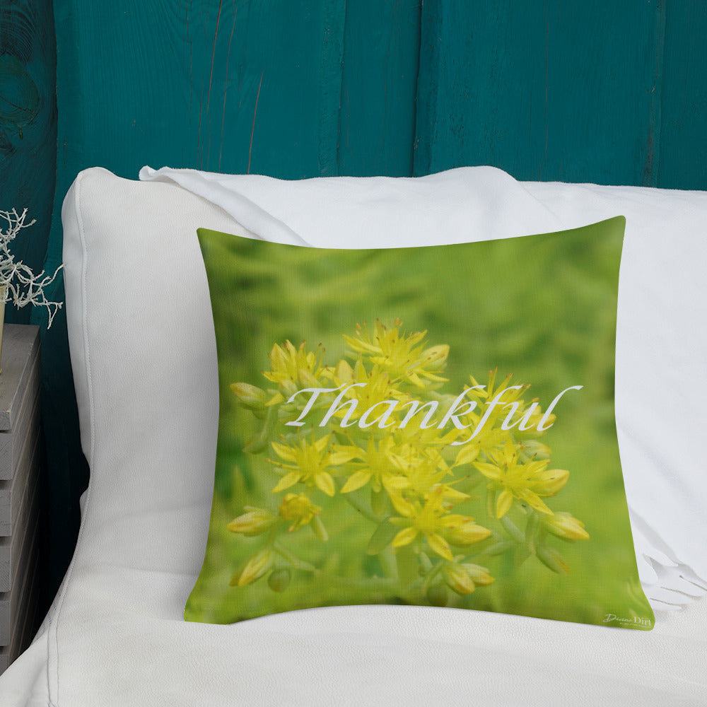 Lime Green Sedum with White Back Premium Pillow "Thankful"