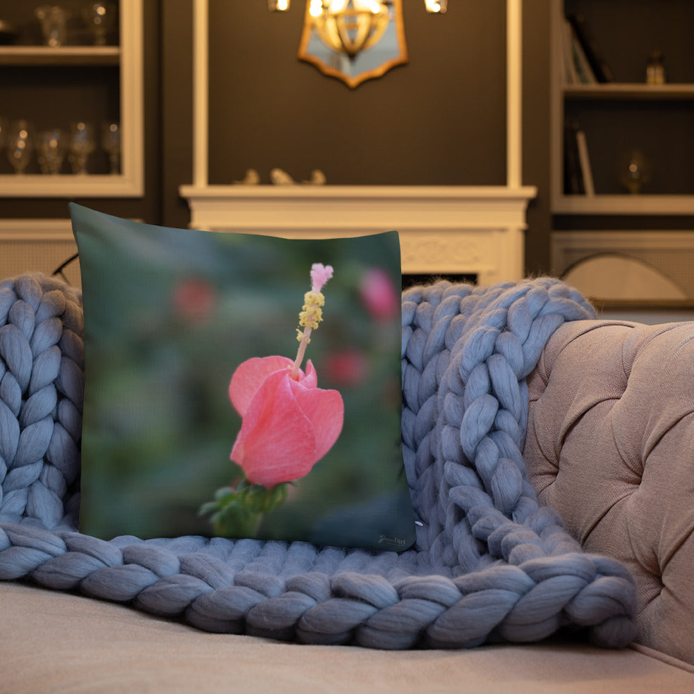 Pink Turks Cap Premium Pillow with Soft Grey Back