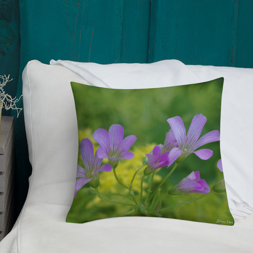 Pink Oxalis-Sedum Premium Pillow with Yellow Back