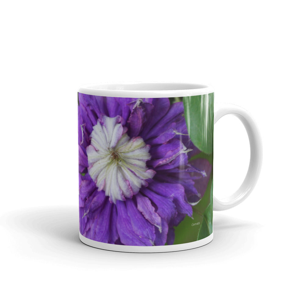 Clematis Diamantina (You are amazing just the way you are)