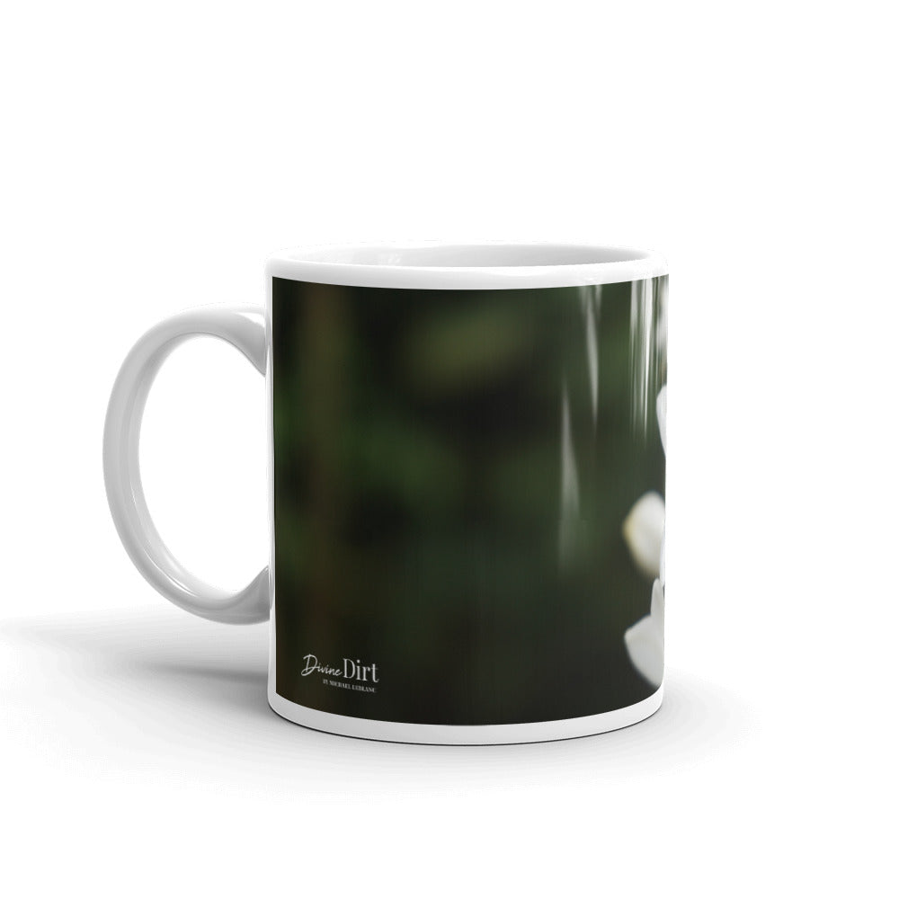 White Agapanthus- Indigo Frost without message