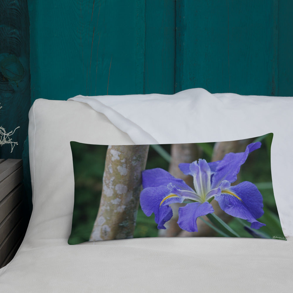 Purple Louisiana Iris Premium Pillow with White Back