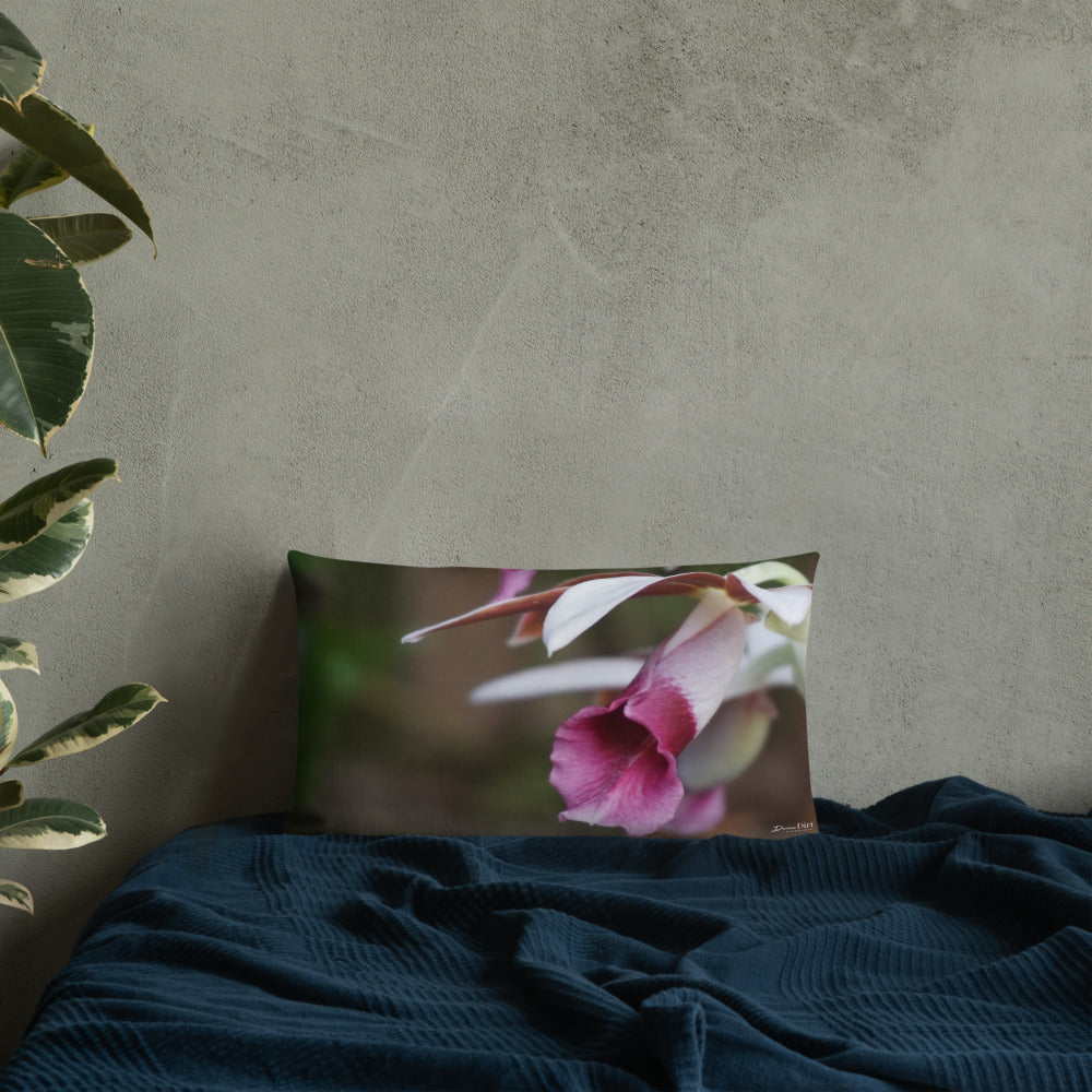 Nun's Cap Premium Pillow with White Back