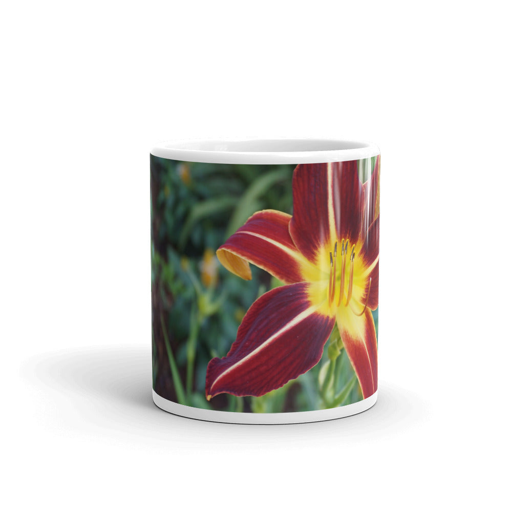 Orange Daylily without a message