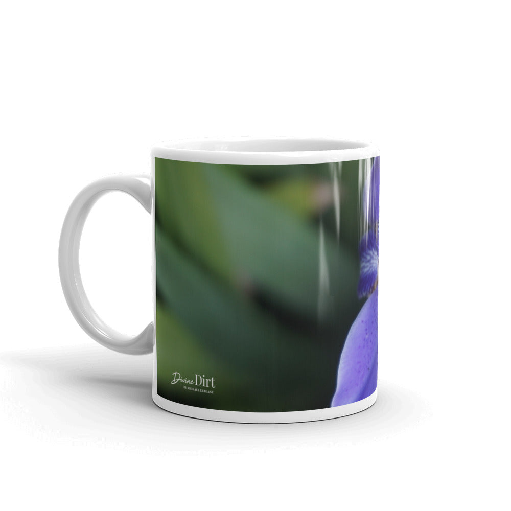 Purple Brazilian Iris without a message