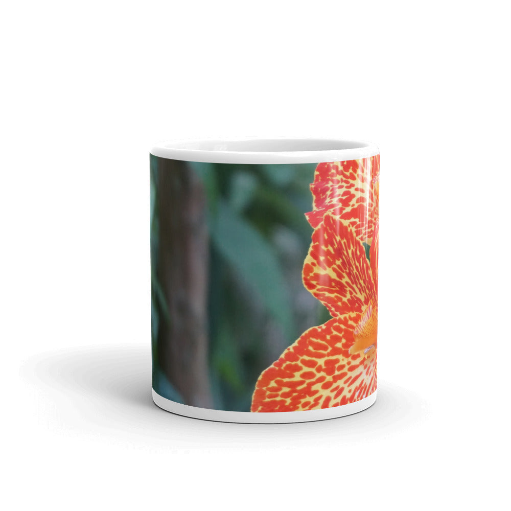 Orange  Dwarf Canna-Picasso without a message