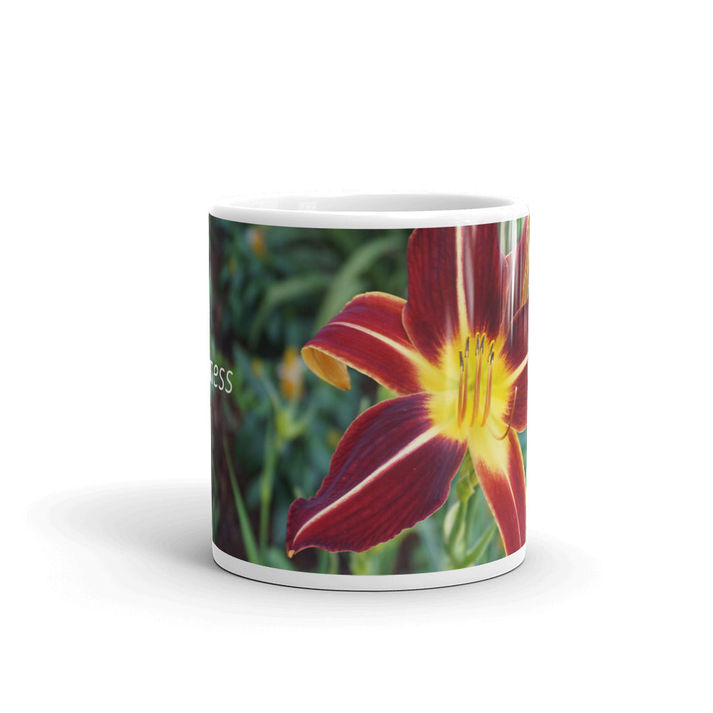 Orange Daylily  "Happiness"