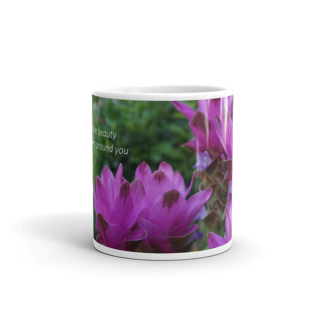 Look for the beauty that is always around you