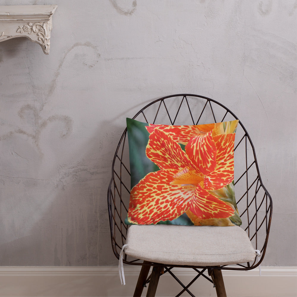 Orange Dwarf Canna 'Picasso' Premium Pillow with White Back