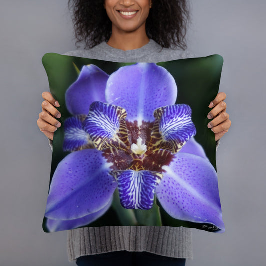 Brazilian Iris  Standard Pillow with Light Grey Back