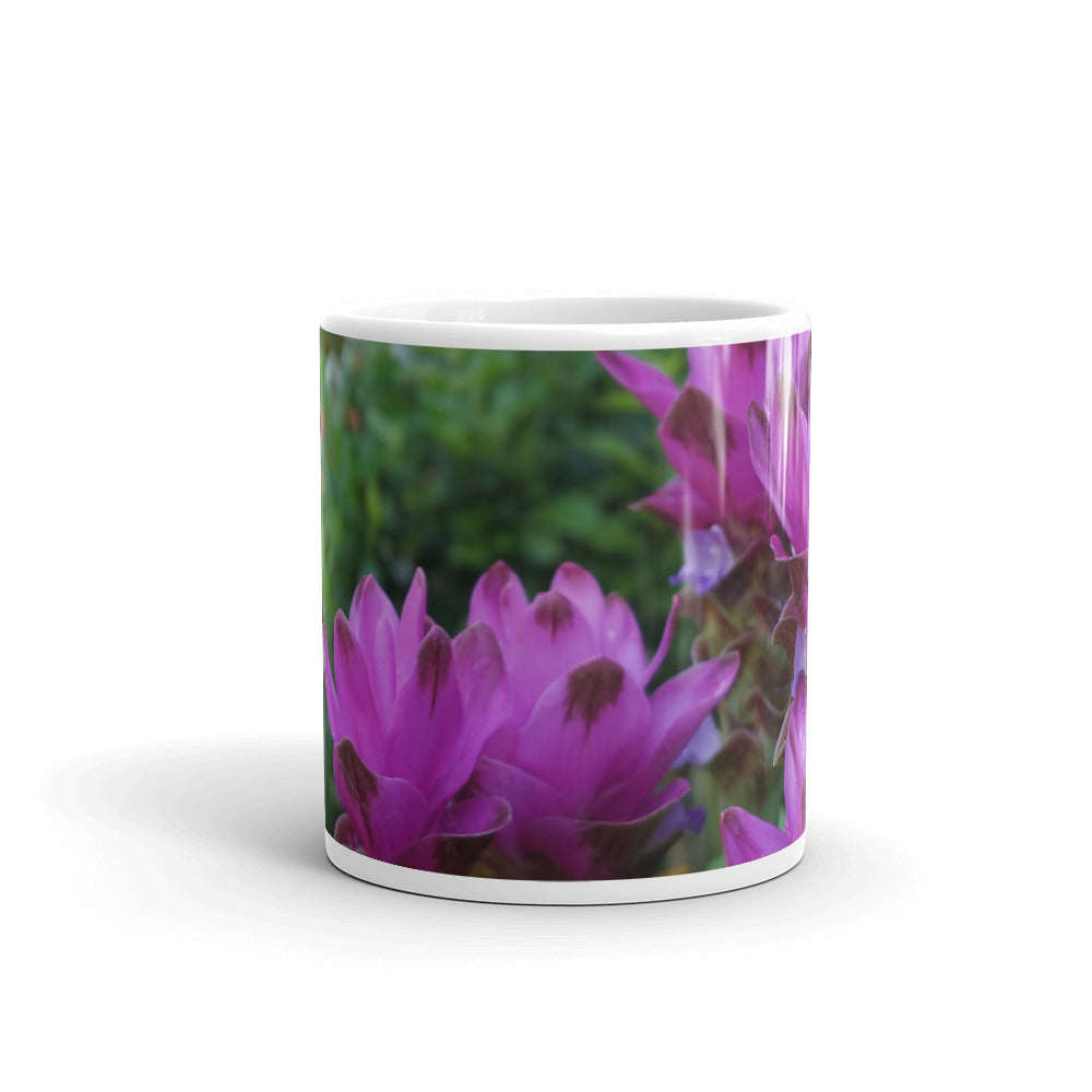 Pink Siam Tulips without a message