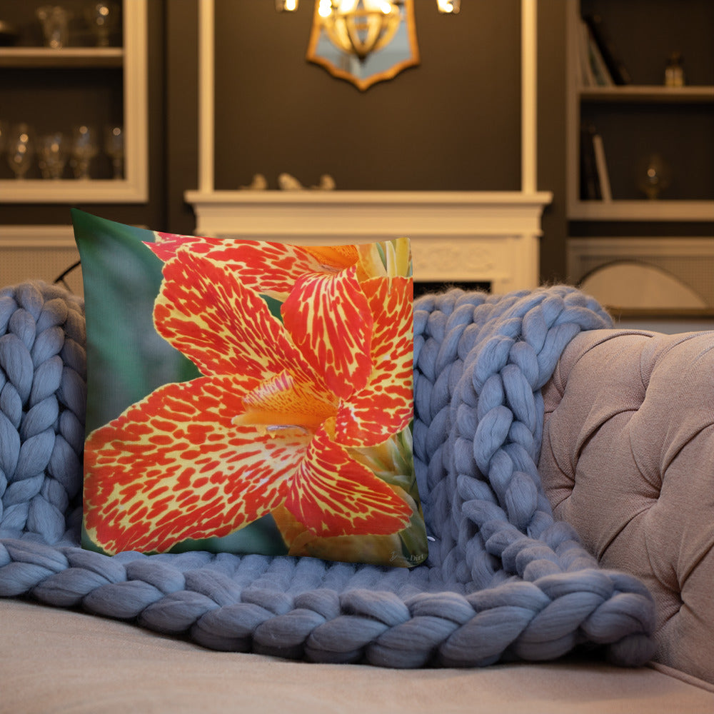 Orange Dwarf Canna 'Picasso' Premium Pillow with White Back