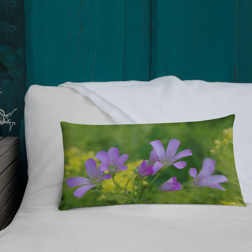 Pink Oxalis & Sedum Premium Pillow with Yellow Back