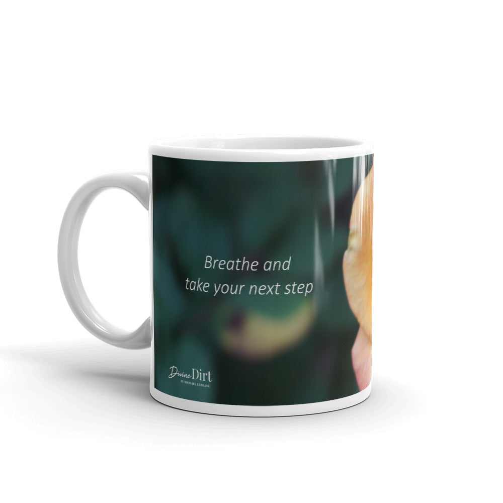 Orange Delight Rose.  "Breathe and take your next step"