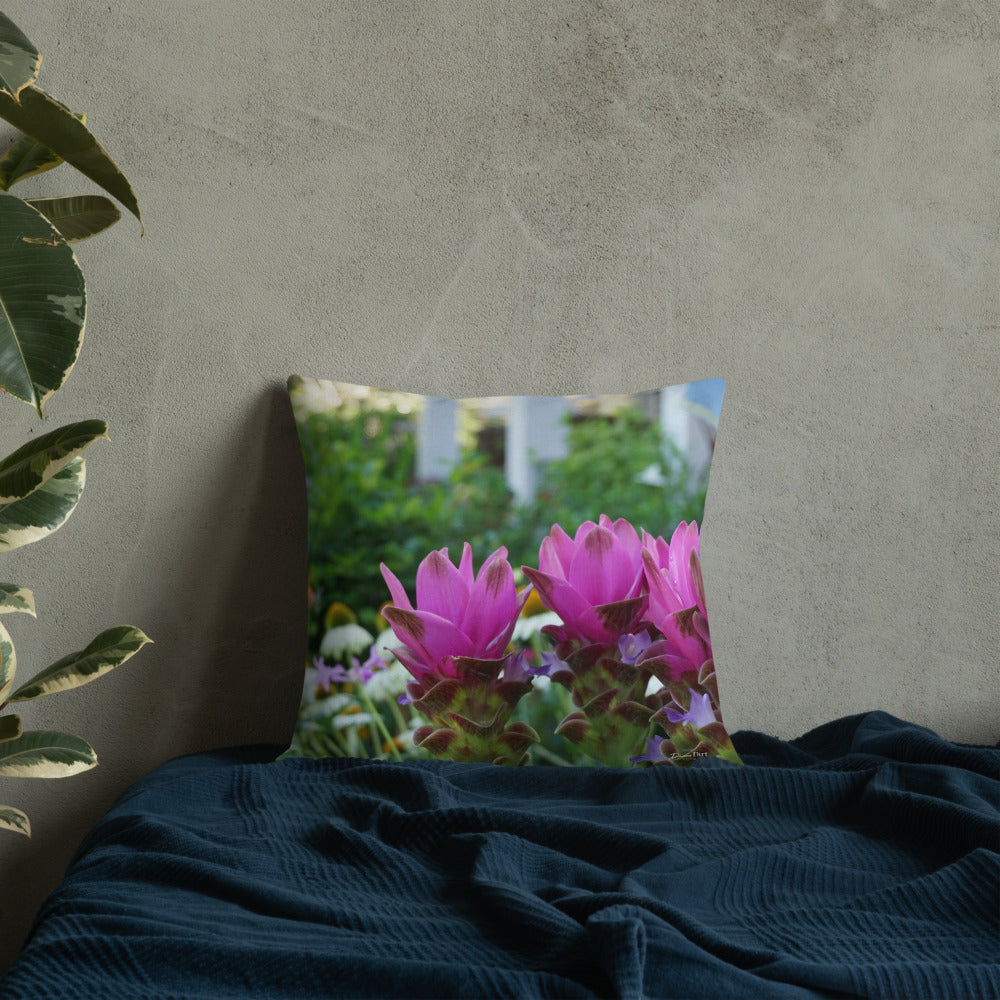 Pink Siam Tulips Premium Pillow with White Back