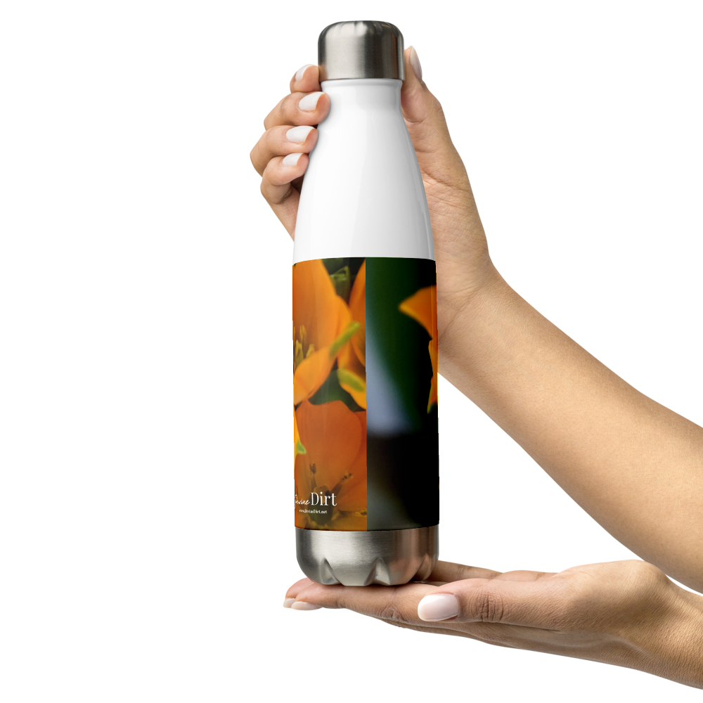 Orange Star Stainless Steel Water Bottle