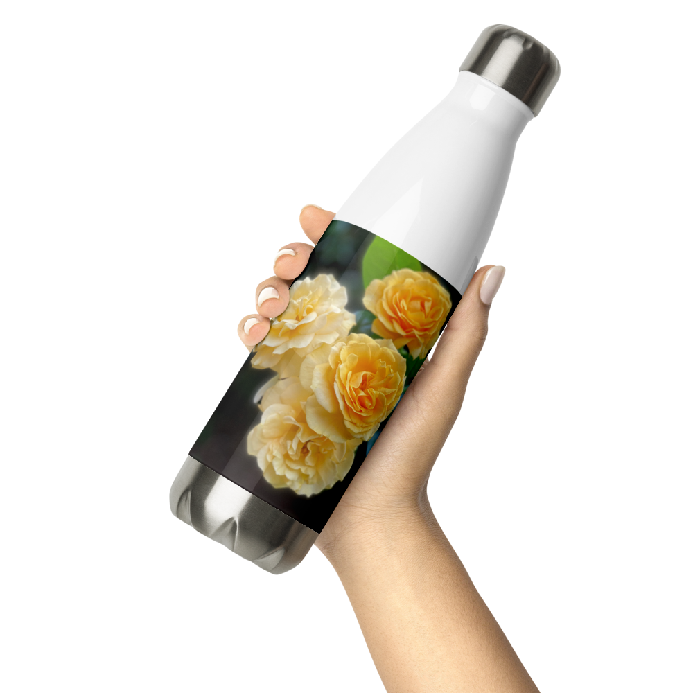 Yellow Roses 'Believe in Your Dreams'