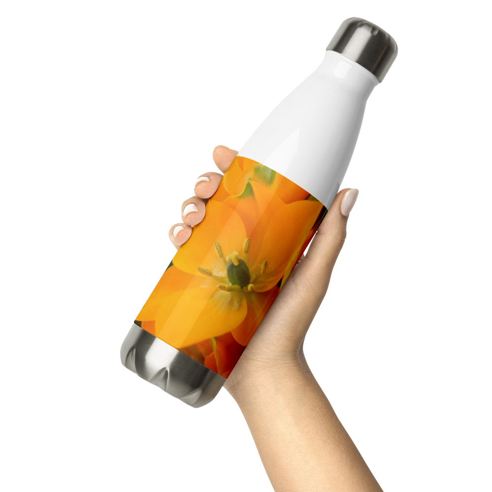 Orange Star Stainless Steel Water Bottle