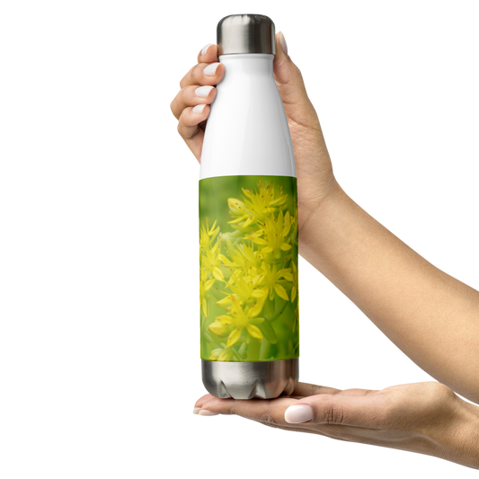 Sedum Stainless Steel Water Bottle