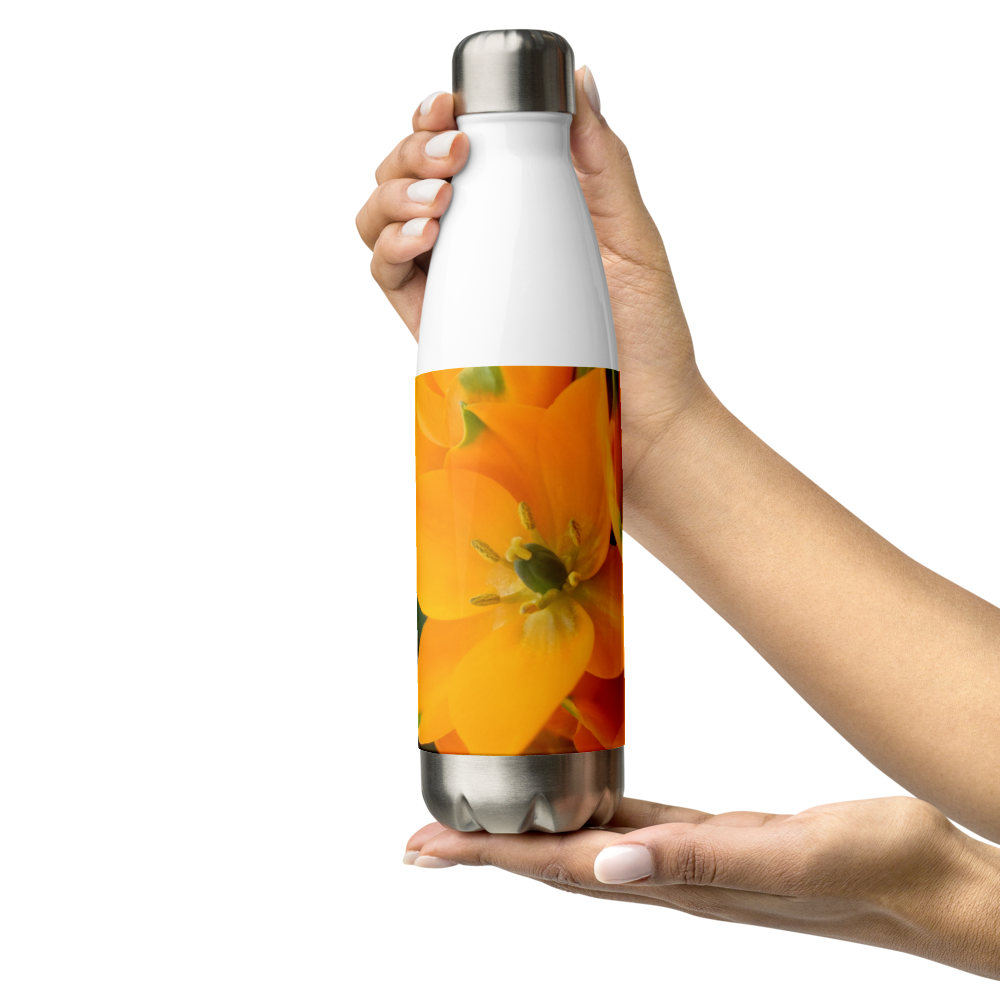 Orange Star Stainless Steel Water Bottle