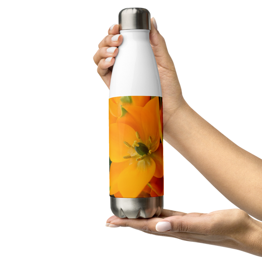 Orange Star Stainless Steel Water Bottle