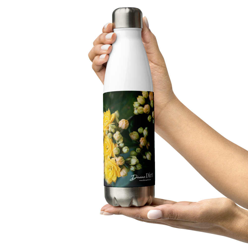 Yellow Kalanchoe 'Trust that you are exactly where you need to be"