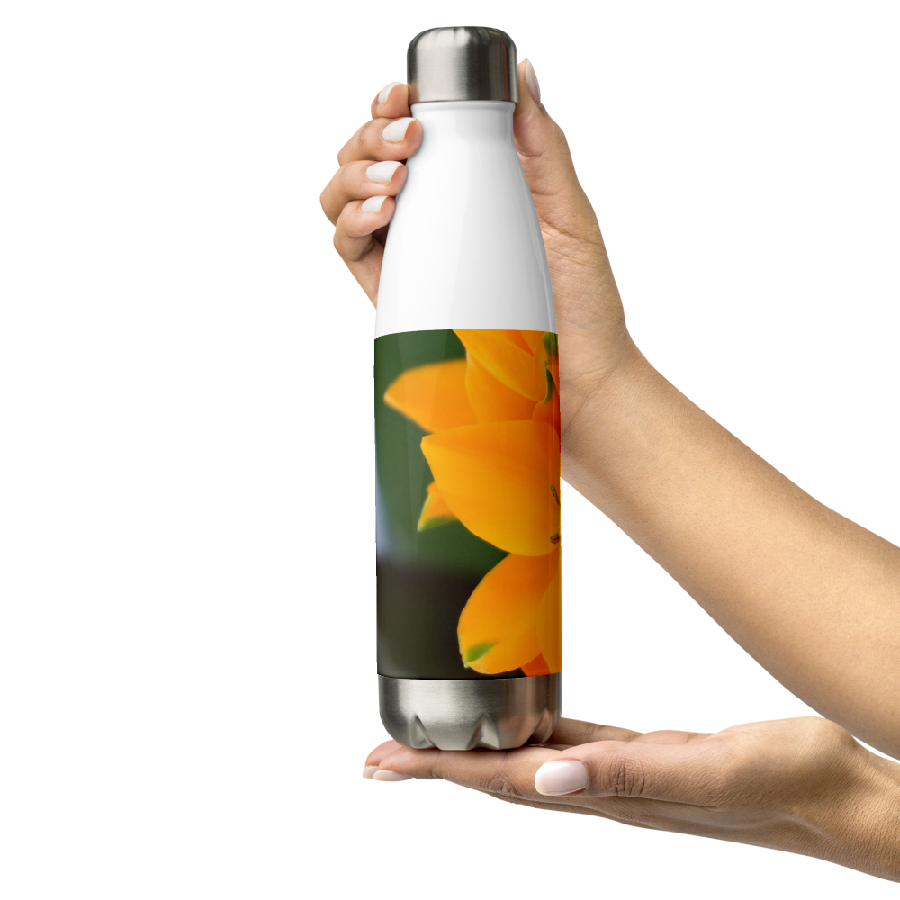 Orange Star Stainless Steel Water Bottle