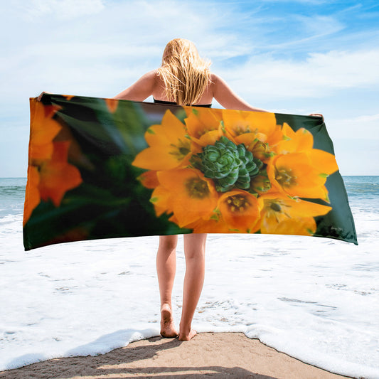 Orange Star  'Symmetry'