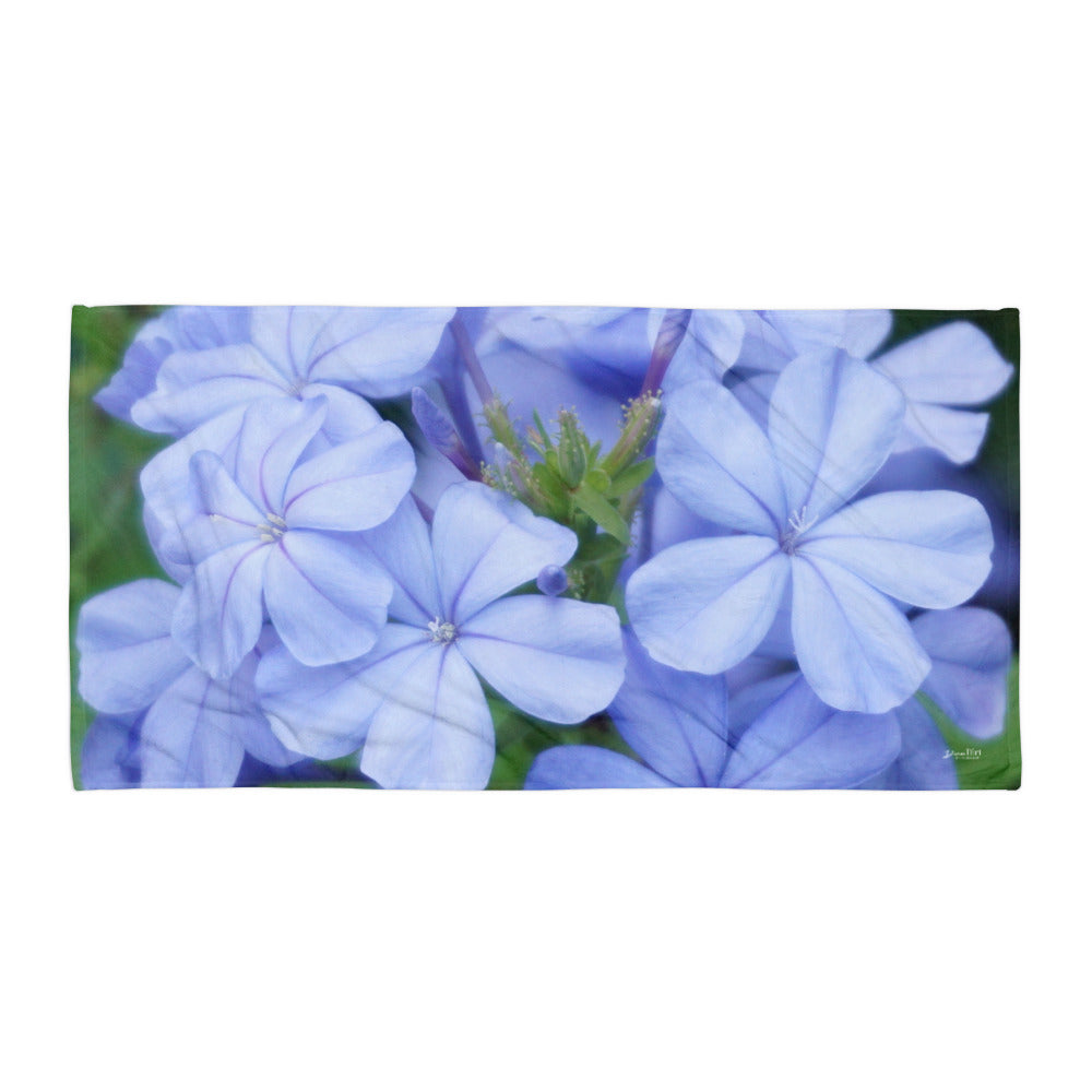 Blue Plumbago