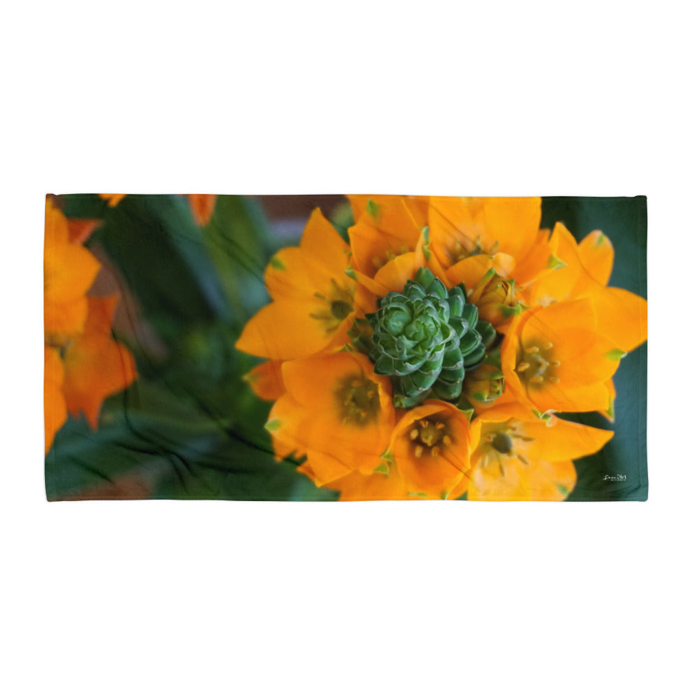 Orange Star  'Symmetry'