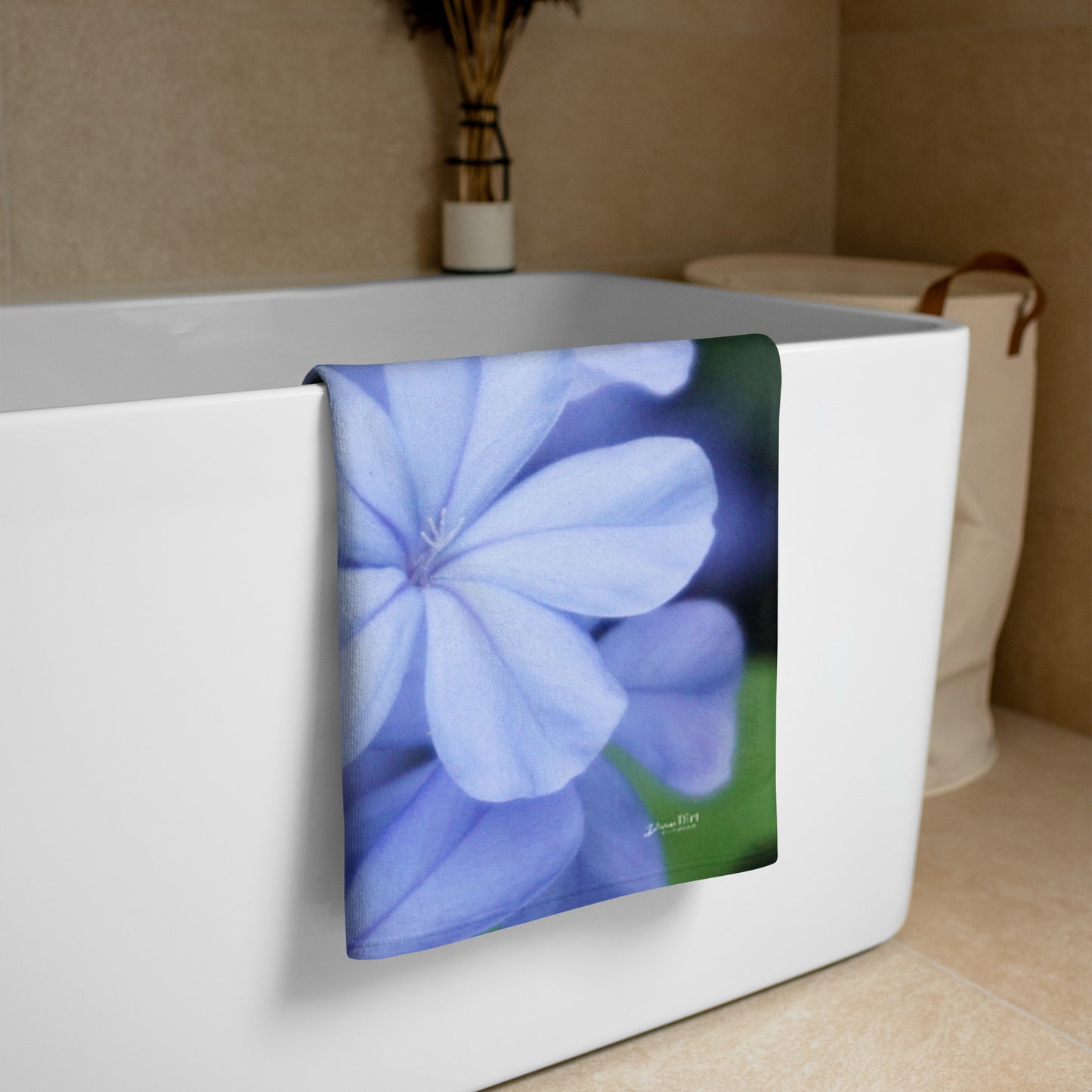 Blue Plumbago